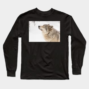 Timber wolf in winter Long Sleeve T-Shirt